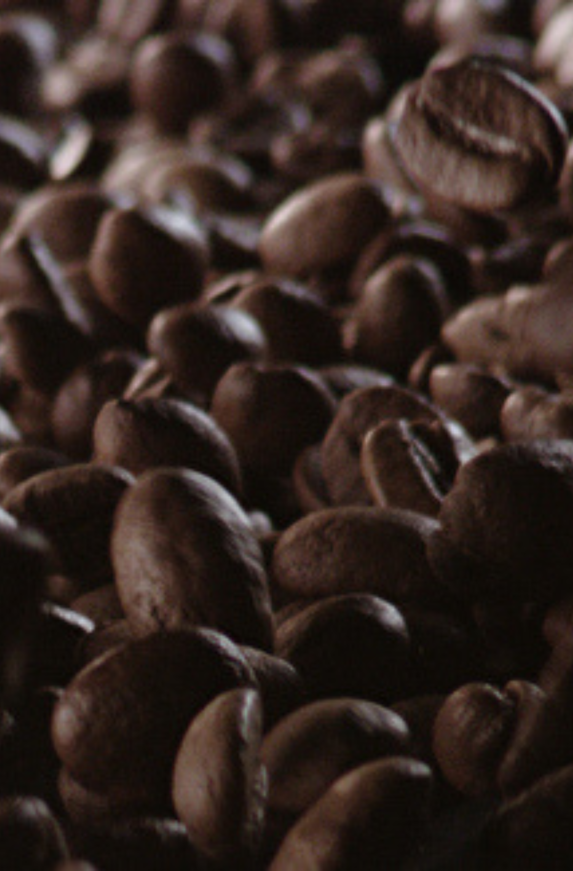 AT-coffeebeansourcing